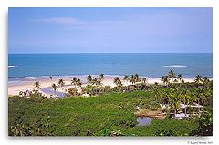 photo "Tropical Paradise"