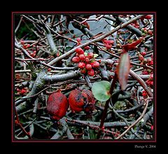 photo "...old and young..."