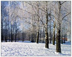 photo "Winter morning"