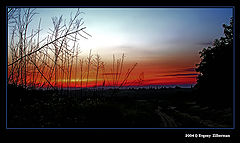 фото "Evening"