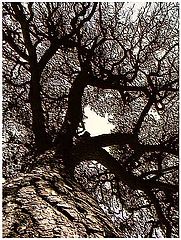 фото "old age"