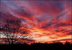 photo "Rhythms of Reds"