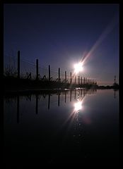фото "hope"