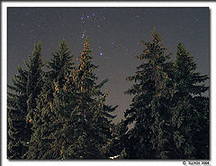 photo "the ukrainian night is silent...,"