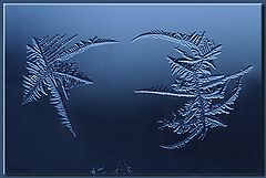 фото "Window Dwellers (3) - Antagonism"