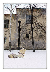 photo "Melancholy horsy"