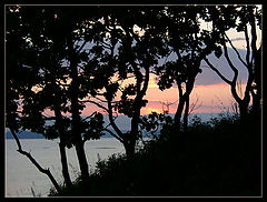 photo "Sunset graphic"