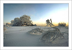 photo "Fetters of winter"