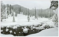 фото "Амзас"