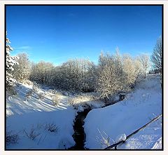photo "Winter etude XIV on Dragvoll"