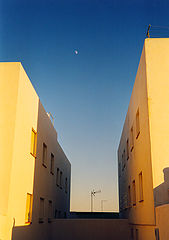 фото "Магритт"