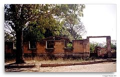 photo "Ancestry"