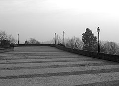 photo "Sameiro Lines"