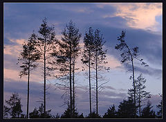 photo "Family portrait"