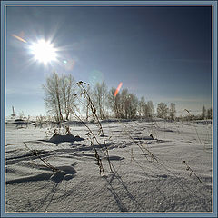 фото "К солнцу"