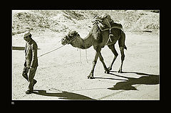 photo "through the desert"