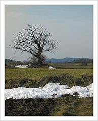 фото "*****"