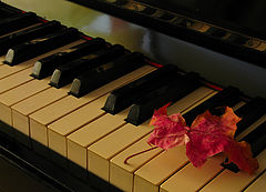 фото "Маэстро Лист, на клавишах души сыграйте все"