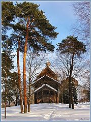 photo "Untitled photo"