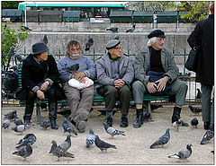 photo "Doves and oldermen in Paris"
