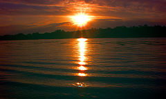 photo "From a series "Silence""