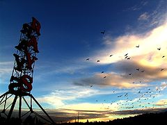 фото "in flight"