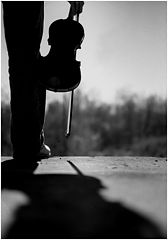 фото "Afternoon Sonata"