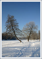 photo "To you - to the right, me - on the left"