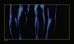 фото "4 Legs???"