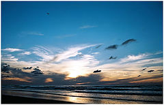 photo "The heavently birds"
