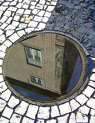 photo "Reflections"