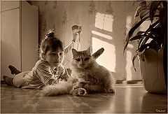 photo "Friendship"