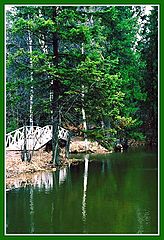 photo "The pond. Abramcevo."