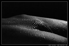 фото "607_01"
