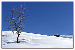 фото "9865a"