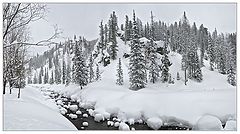 фото "Амзас"