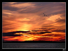 photo "Icarus"