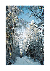фото "Зимняя дорога - 2"