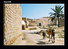 photo "through the desert II"