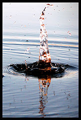 photo "****"