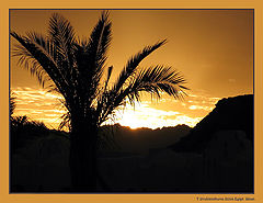 photo "Last beams"