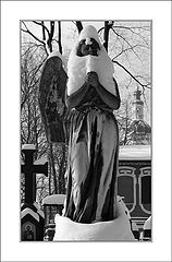 photo "I ask you about love - let even without a wing"