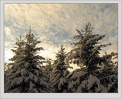 photo "February #6"