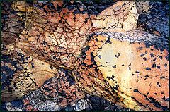 photo "Crust"