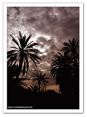 photo "Chebika"