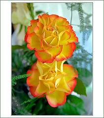 photo "With a holiday of Spring, Lovely our Ladies!"