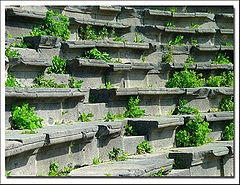 photo "Rows of seats (ancient theatre)"