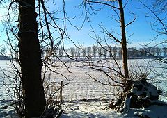 фото "Landscabe."