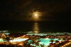 photo "Moonlight"
