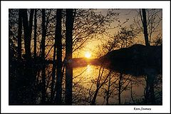 photo "From the Forest"